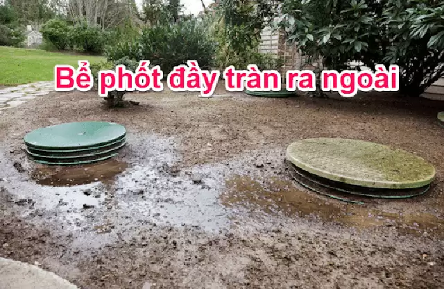 Nguyên nhân hầm cầu bị đầy